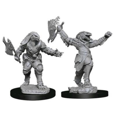 D&D Nolzur's Marvelous Miniatures - Dragonborn Fighter
