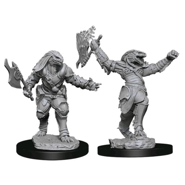 D&D Nolzur's Marvelous Miniatures - Dragonborn Fighter