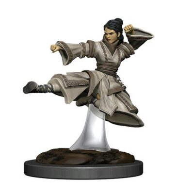 D&D Icons of the Realms Premium Figures - Human Monk